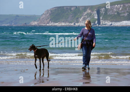 Eine Frau, die Ausübung eines Windhunds auf einem englischen Strand. Stockfoto