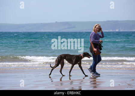 Eine Frau, die Ausübung eines Windhunds auf einem englischen Strand. Stockfoto