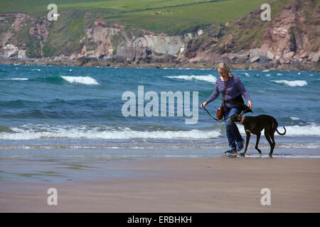 Eine Frau, die Ausübung eines Windhunds auf einem englischen Strand. Stockfoto