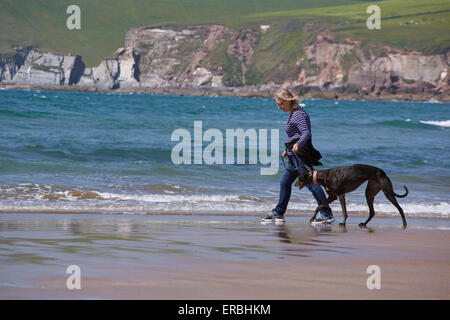 Eine Frau, die Ausübung eines Windhunds auf einem englischen Strand. Stockfoto