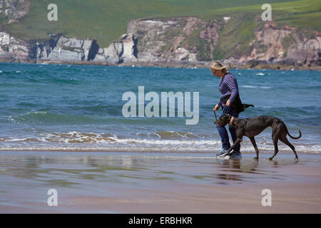 Eine Frau, die Ausübung eines Windhunds auf einem englischen Strand. Stockfoto