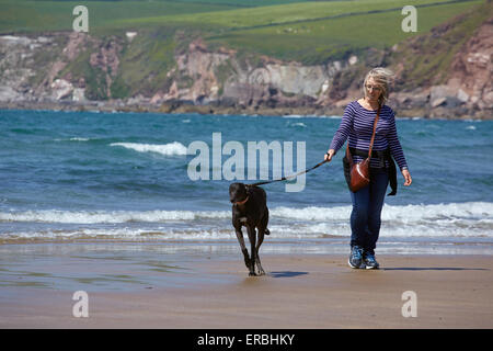 Eine Frau, die Ausübung eines Windhunds auf einem englischen Strand. Stockfoto