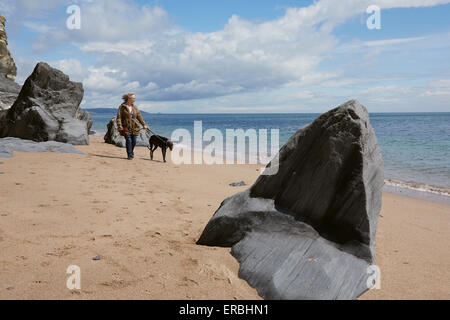 Eine Frau, die an einem Strand in der Nähe von Slapton Sands, Devon, Großbritannien, einen Windhund trainiert. Schiefergestein rackt im Vordergrund. Stockfoto