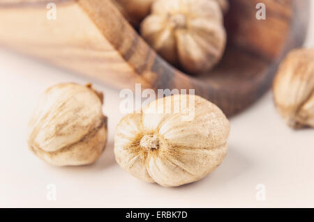 Weißer Kardamom isoliert auf weißem Hintergrund closeup Stockfoto