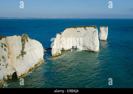 Kreidefelsen Sie an der Old Harry Rocks, Swanage, Dorset, Großbritannien. Zwei Seekajaks können in der Nähe von dem fernen Stapel gesehen werden. Stockfoto