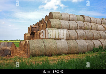 Ein Stapel Stroh Rundballen auf Ackerland bei Limpenhoe, Norfolk, England, Vereinigtes Königreich. Stockfoto