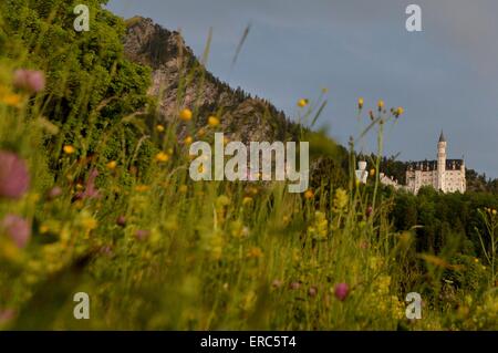 Das deutsche Schloss Neuschwanstein, Deutschland, Stadt Hohenschwangau, 29. Mai 2015. Foto: Frank Mai Stockfoto