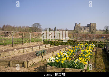 Helmsley ummauerten Garten im Frühjahr Stockfoto