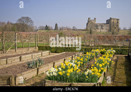 Helmsley ummauerten Garten im Frühjahr Stockfoto