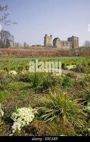 Helmsley ummauerten Garten im Frühjahr Stockfoto