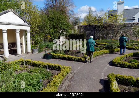 Freiwillige Arbeit auf die Physic Garden, Cowbridge, Vale of Glamorgan, South Wales, UK. Stockfoto