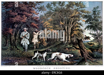 1850ER JAHRE WOODCOCK SCHIEßEN - CURRIER & IVES LITHOGRAPHIE - 1852 Stockfoto