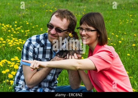 Garn-Mann und Mädchen mit York Terrier auf wilde Wiese mit Löwenzahn Stockfoto