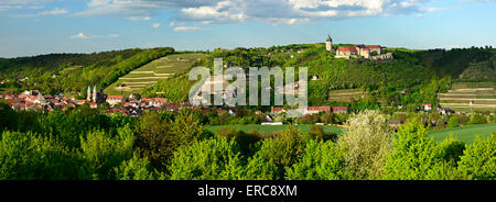 Panorama von Freyburg mit Neuenburg Schloss, Stadtkirche St. Marien und herzoglichen Weinberge, Freyburg, Burgenlandkreis, Sachsen-Anhalt Stockfoto