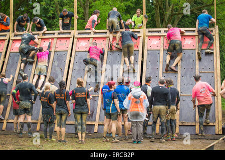 Viel Spaß bei der Midlands Tough Mudder Veranstaltung, Boughton House, Kettering, 31. Mai 2015. Stockfoto