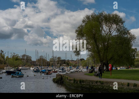 Festgemachten Boote auf dem Fluss Avon Christchurch Dorset im Spätsommer Stockfoto