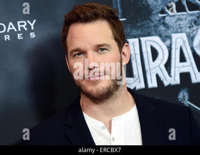 Berlin, Deutschland. 1. Juni 2015. US-Schauspieler Chris Pratt stellt bei einem Fototermin für den Film "Jurassic World" in Berlin, Deutschland, 1. Juni 2015. Der Film wird in den deutschen Kinos ab 11. Juni 2015 sein. Foto: Britta Pedersen/Dpa/Alamy Live News Stockfoto