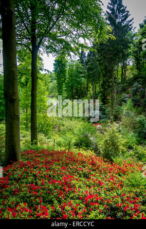 Die Himalayan Garden und Skulpturenpark Stockfoto