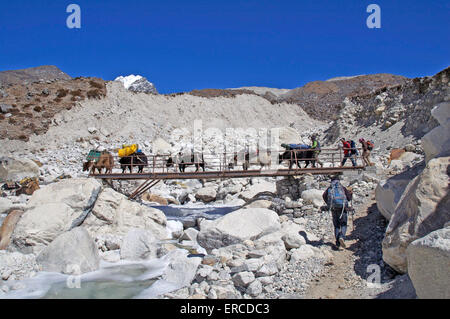 Träger und Packtiere auf dem Weg zum Everest-Basecamp überqueren eine Brücke über den Imja Khola-Fluss in der Nähe von Dhugla, Nepal. Stockfoto