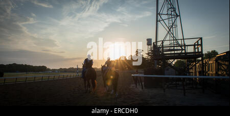 Elmont, New York, USA. 31. Mai 2015. Pferde am Main verfolgen heute Morgen am Belmont Park Racetrack, Sonntag, 31. Mai 2015. © Bryan Smith/ZUMA Draht/Alamy Live-Nachrichten Stockfoto