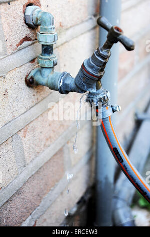 Wasser verschwendet tropft aus Gartenschlauch Wasserhahn Gelenk Stockfoto