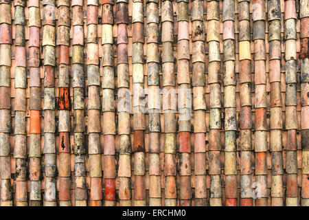 alten Traditionals Fliesen bedeckt durch Pilz und Schaum-Muster Stockfoto
