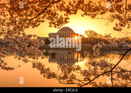 Washington, DC am Tidal Basin und Jefferson Memorial im Frühjahr. Stockfoto