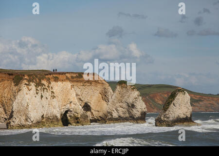 Dramatische Küstenlinie in Freshwater Bay und Klippen auf der Isle Of Wight-UK Stockfoto