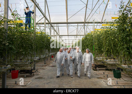 Besuch des holländischen Handel & Entwicklung dienen Lillian Ploumen das niederländische Unternehmen "Dessert Freude", große Tomate Gewächshäuser in der Stockfoto