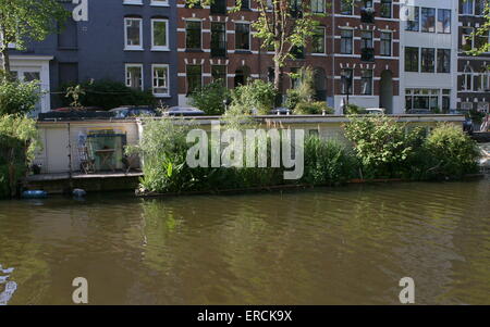 Alten Hausboote mit schwimmenden Gärten am Nieuwe Achtergracht Kanal in der Altstadt von Amsterdam, Niederlande Stockfoto