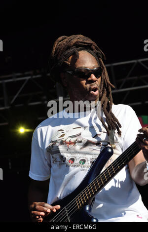 Dreadzone Wychwood Musik festival2015 in Cheltenham Gloucestershire England Band Reggae Funk Stockfoto