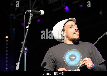 Dreadzone Wychwood Musik festival2015 in Cheltenham Gloucestershire England Band Reggae Funk Stockfoto