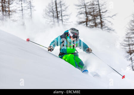 ein Mann stellt sich mit seinen Skiern in einem schönen Pulver Holz in den italienischen Westalpen Stockfoto