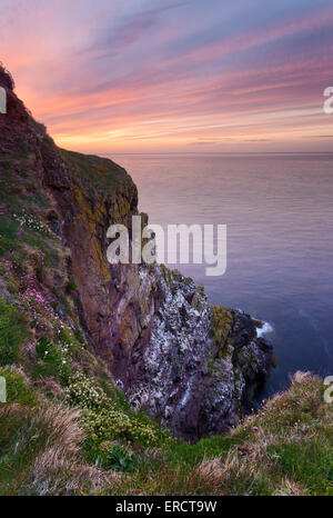 Sonnenuntergang hinter den steilen Klippen der Nordsee bei St. Abbs Head Nature Reserve Stockfoto