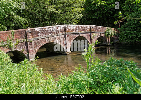 Steinbrücke über den Fluss Avon bei Salterton Stockfoto