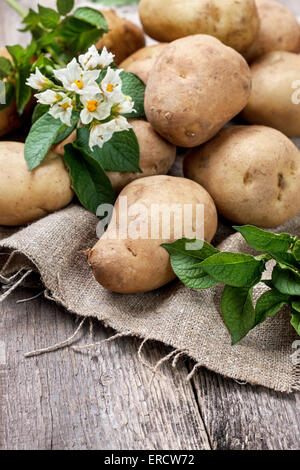 Kartoffel mit Blättern und Blüten auf einem hölzernen Hintergrund im rustikalen Stil. Ernte Kartoffeln Stockfoto