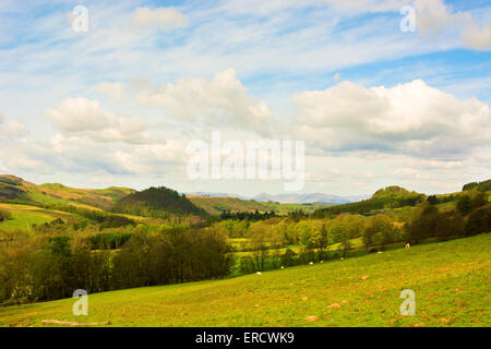 Kulturlandschaft im schottischen Hochland mit Wäldern und Weiden Felder unter blauem Himmel mit Wolken Stockfoto