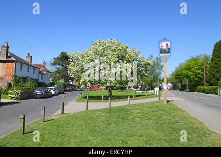 Sandhurst Dorf, Kent, England, UK Stockfoto