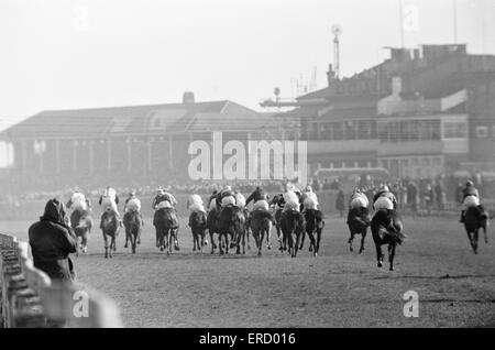 Racing auf dem Lincoln Racecourse, Lincolnshire, Montag, 16. März 1964. Eröffnungstag der flachen Saison 1964. Stockfoto