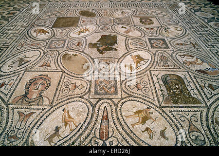 Marokko, Volubilis, Haus der Heldentaten des Herkules, römisches Mosaik Stockfoto