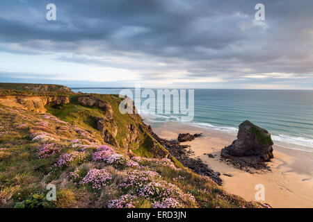 Sommer im Bedruthan Steps an der Nordküste von Cornwall Stockfoto