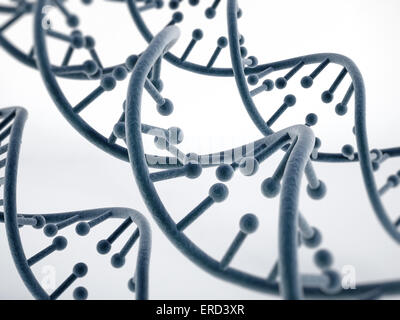 DNA-Stränge isoliert auf weiss. Stockfoto