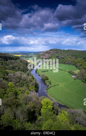 Der Fluss Wye und Coppet Hill aus Symonds Yat, Wald des Dekans, Gloucestershire, England Stockfoto