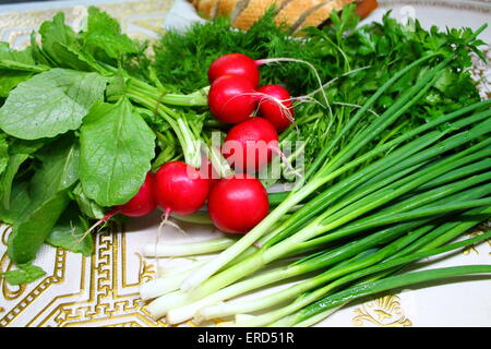 Aroma Kruste rote Kugeln aus Rettich mit grünen Blättern, Büschel von Zwiebeln, frischem Dill und locken Petersilie Stockfoto