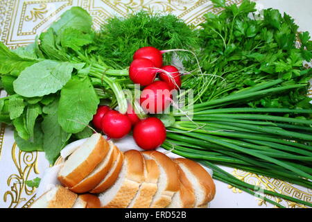 rote Kugel Formen Kruste Rettich mit Blätter, grüne Zwiebel, Büschel von Aroma-Petersilie und weich Dill und Stück Weißbrot Stockfoto