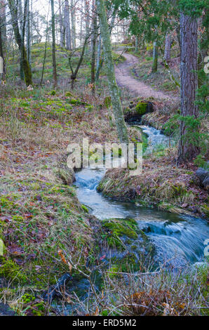 Der Wald stream ich still und schön hinunter zum Meer schweben Stockfoto