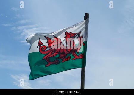 Walisische Flagge vor einem blauen Himmel mit Wolken Stockfoto