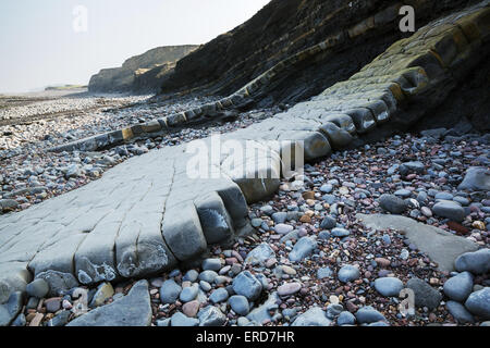 Alternative Bands der fossilen Lager Kalkstein und Schiefer ausgesetzt entlang der Jurassic Coast West Somerset in der Nähe von East Quantoxhead Stockfoto