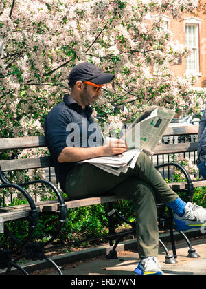 Frühling im Washington Square Park, New York Stockfoto