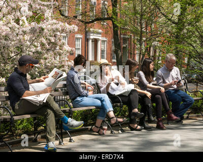 Frühling im Washington Square Park, New York Stockfoto